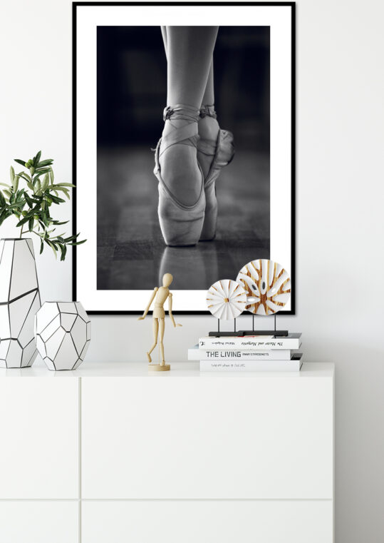 Poster Ballettschuhe Poster 3