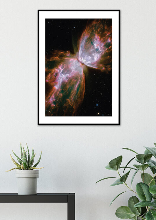 Poster Hubbleteleskop - Rosette aus Gasen und Staub Poster 3