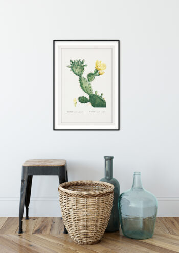 Poster Cactus Opunta - Kaktus Poster 2