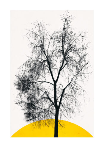 - Kubistika PosterDark Tree - Kubistika Poster 1